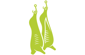 Ícono de dos medias canales de cerdo colgadas en ganchos, representando el software de trazabilidad y rendimiento de canales de CAT Squared.