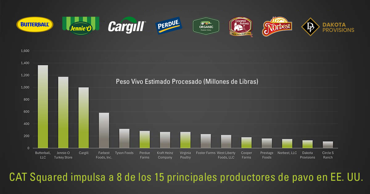 Software MES para procesadores de pavo en EE. UU. – CAT Squared líder en la industria avícola.