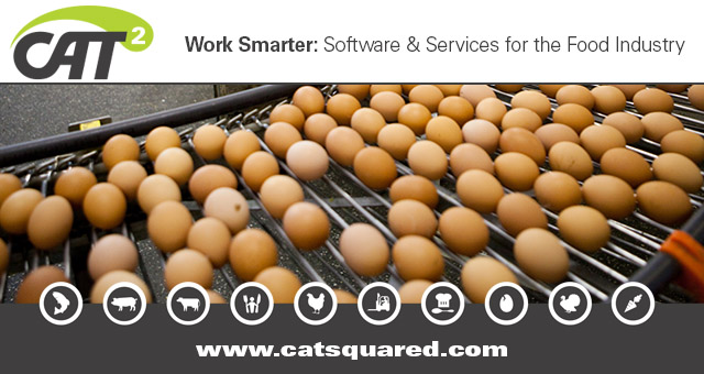 CAT Squared Egg Inventory Management System