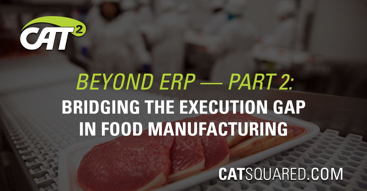 Beyond ERP Part 2 – Bridging the Execution Gap in Food Manufacturing with MES